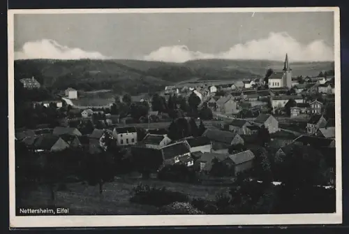 AK Nettersheim /Eifel, Ortsansicht mit Kirche