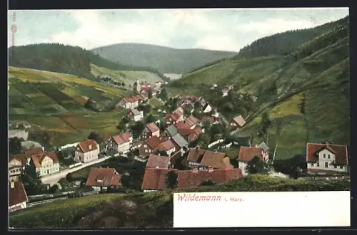 AK Wildemann i. Harz, Ortsansicht im Tal