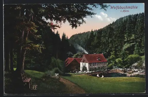 AK Wolfsbachmühle i. Harz, Mühle im Tal, Waldlandschaft