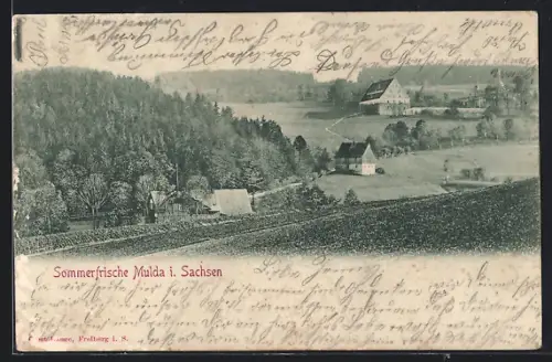 AK Mulda i. Sachsen, Landschaftsansicht