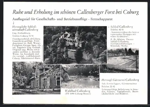 AK Callenberg bei Coburg, Schloss Callenberg, Waldhaus, Herzogl. Gärtnerei, Schlosswirtschaft