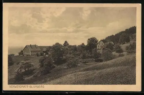 AK Schweigmatt-Blumberg, Blick auf vereinzelte Häuser