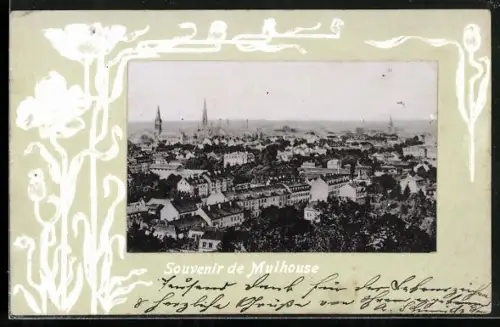 AK Mulhouse, Panorama