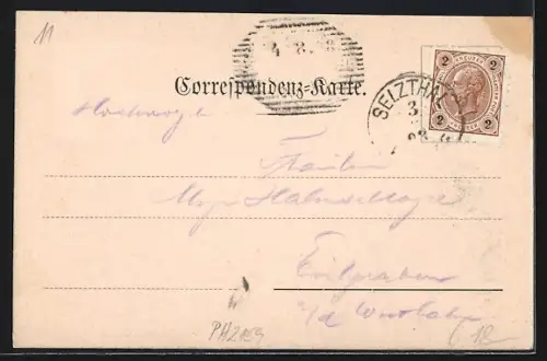 Lithographie Selzthal, Hochthor, Gesäuseeingang, Ortsansicht