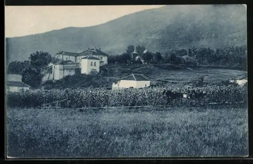 AK Nisch, das Bad von Westen betrachtet