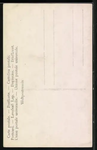 AK Erzherzog Rainer von Österreich, Seitenprofil