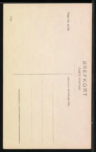 AK Königspaar von Schweden vornehm gekleidet