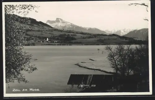 AK Zell am Moos, Gewässerpartie mit Blick zum Ort