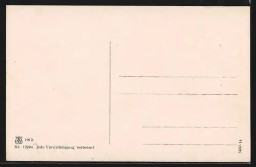 AK Dürnstein a. d. Donau, Ortsansicht mit Burg von der Donau aus