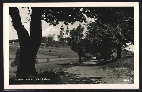 AK Maria-Taferl /N. D., Bussweg mit Wallfahrtskirche