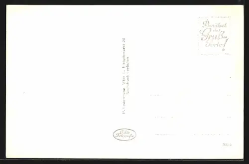 AK Bruck a. d. Mur, Totalansicht mit Umgebung