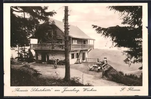 AK Theresia-Schutzhütte am Jauerling, Wachau, Blick vom Wald aus