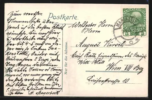 AK Mariazell, Ortspanorama mit Bergen