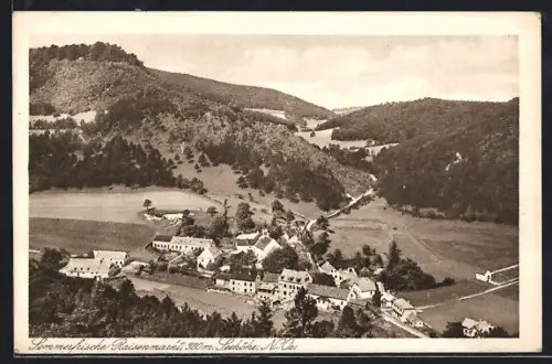 AK Raisenmarkt, Blick aus der Vogelschau auf den Ort