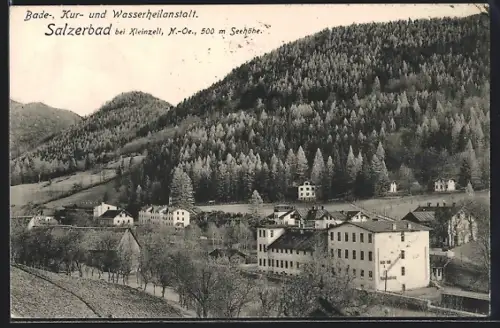 AK Kleinzell /N. Oe., Ortsansicht mit Bade-, Kur- und Wasserheilanstalt Salzerbad