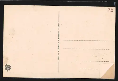 AK Christofen a. d. Westbahn, Ortspanorama