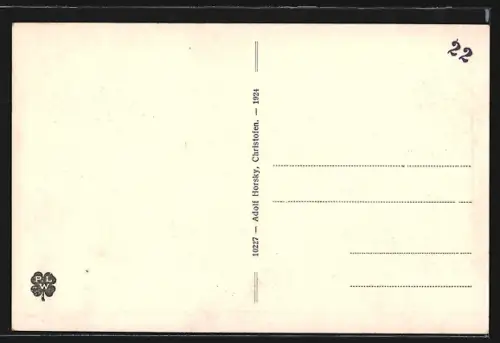 AK Christofen a. d. Westbahn, Teilansicht