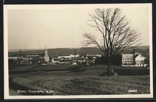 AK Gross Siegharts /N.-Oe., Ortsansicht mit Kirche