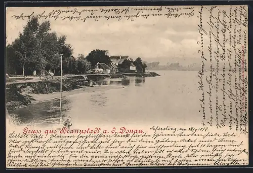 AK Brandstatt a. d. Donau, Uferpartie mit Bäumen