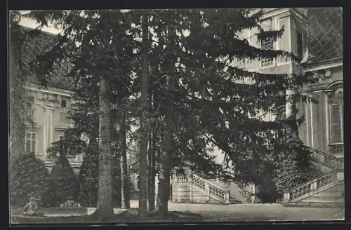 AK Petronell a. d. Donau, Graf Abensperg Traun`sches Schloss mit reichem Museum