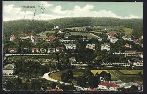 AK Pressbaum, Teilansicht mit Strassenpartie
