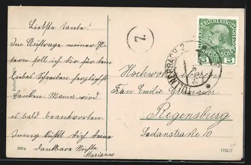 AK Pressbaum, Teilansicht mit Strassenpartie