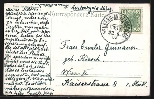 AK Neuberg, Ortsansicht aus der Vogelschau