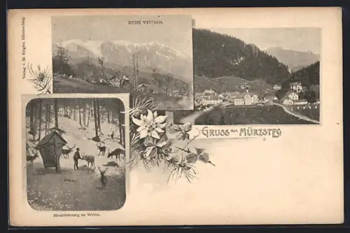 AK Mürzsteg, Hirschfütterung im Winter, Blick zur Hohen Veitsch