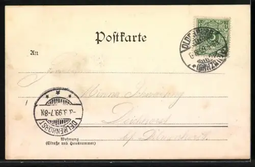 AK Oldenburg i. Gr., Partie am Schlossgarten