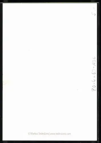 AK Schauspieler Dominic Raacke in weissem Hemd, Autograph