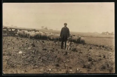 Foto-AK Schäfer mit Schafherde und Hund