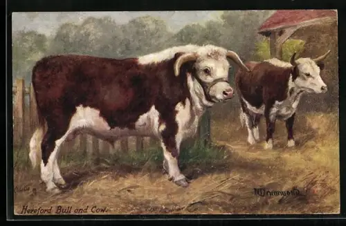 Künstler-AK Hereford Bull and Cow, Kühe