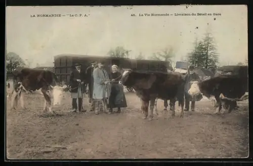 AK Rinderverkauf in der Normandie