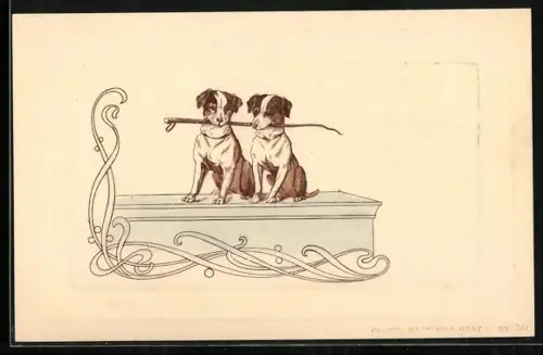 AK Zeri Hunde halten gemeinsam einen Stock