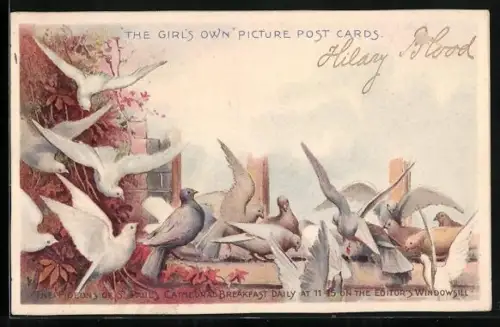 AK Flatternde Tauben auf einem Platz