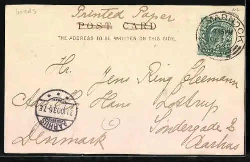 AK Flatternde Tauben auf einem Platz