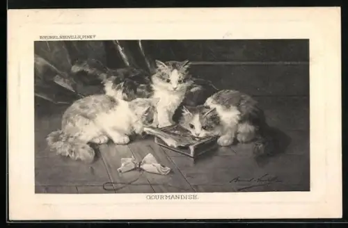 AK Katzen bei einem Leckerbissen