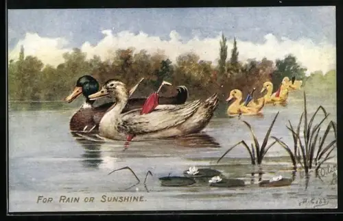 AK Schwimmendes Entenpaar mit Küken