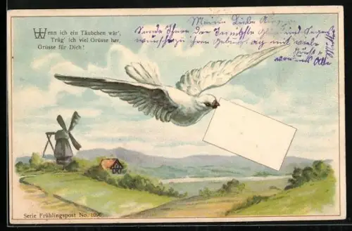 AK Taube mit Kuvert im Schnabel, Im Hintergrund Windmühle