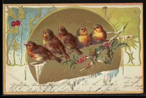 Präge-AK Singvögel auf einem Zweig, Stechpalme