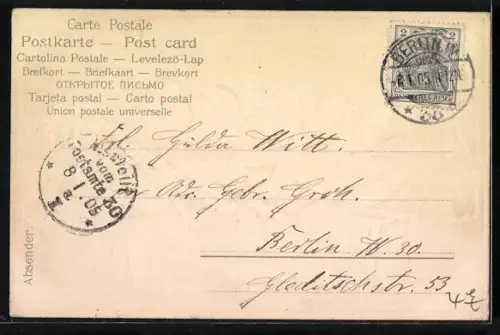 Präge-AK Singvögel auf einem Zweig, Stechpalme