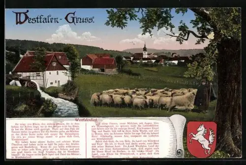 AK Westfälische Ortschaft mit Schafherde, Wappen, Text Westfalenlied