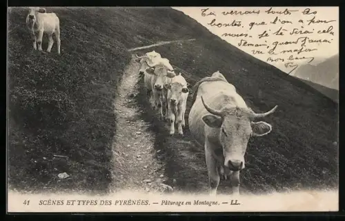 AK Pyrénées, Paturage en Montagne