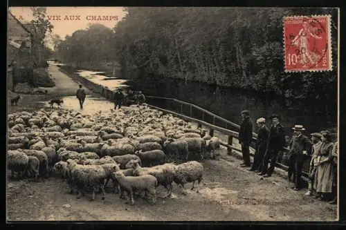 AK La Vie aux Champs