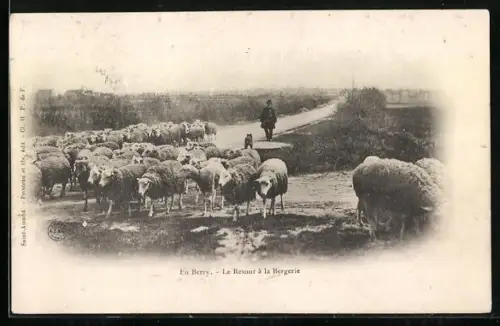 AK Berry, Le Retour à la Bergerie
