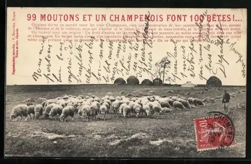 AK 99 Moutons et un Champenois font 100 Betes!