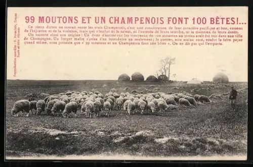 AK 99 Moutons et un Champenois font 100 Betes!...