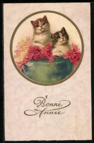AK Zwei Katzenkinder, Blumen, Rahmen