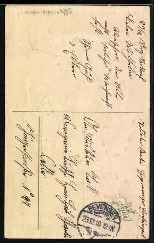 AK Zwei Vögel auf einem Stechpalmenzweig, Haus, Eiszapfen, Weihnachtsgruss