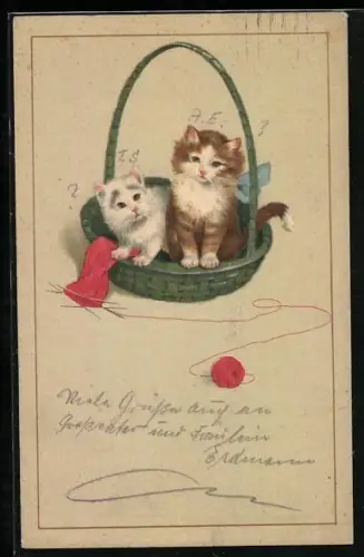 AK Zwei junge Katzen in einem Korb, Strickzeug